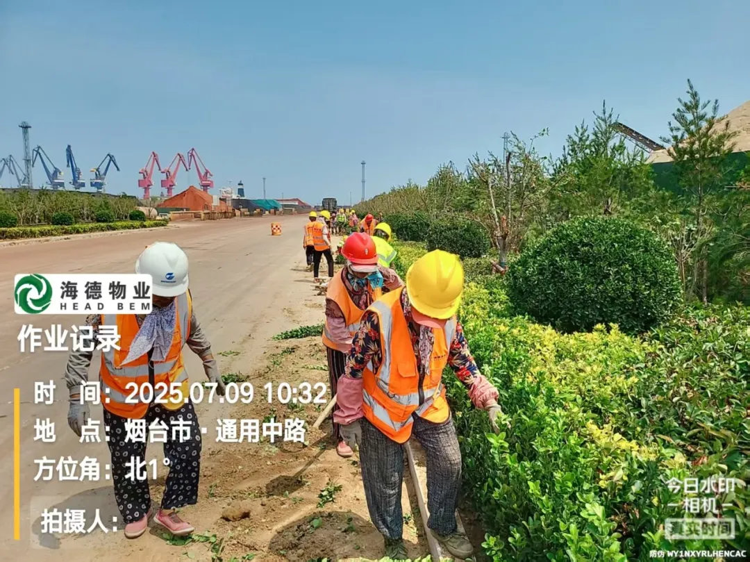 1757575657575405.jpg 6.jpg