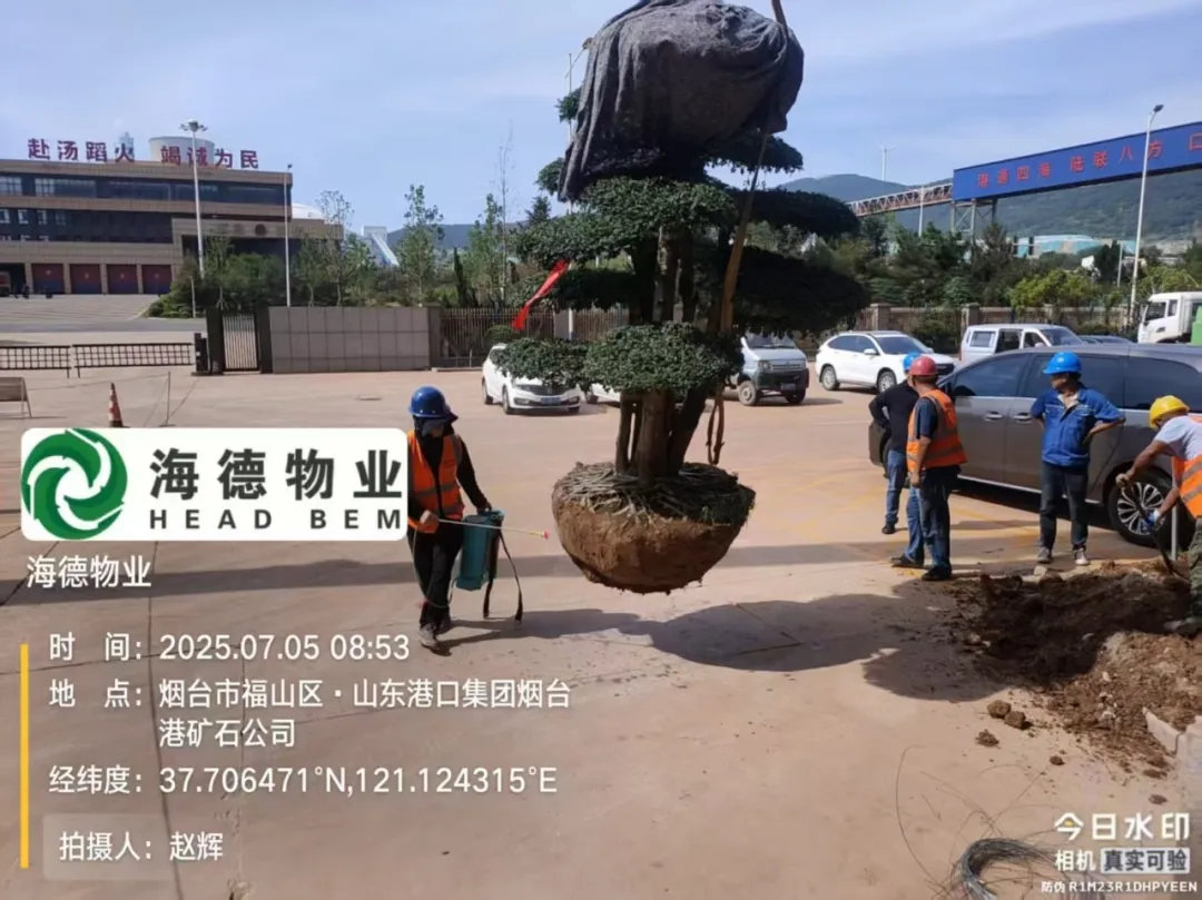 1757575689917629.jpg 7.jpg