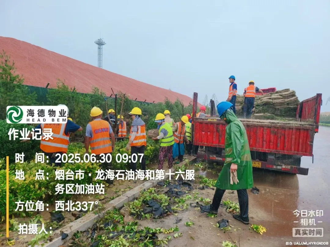 1757575695751279.jpg 8.jpg