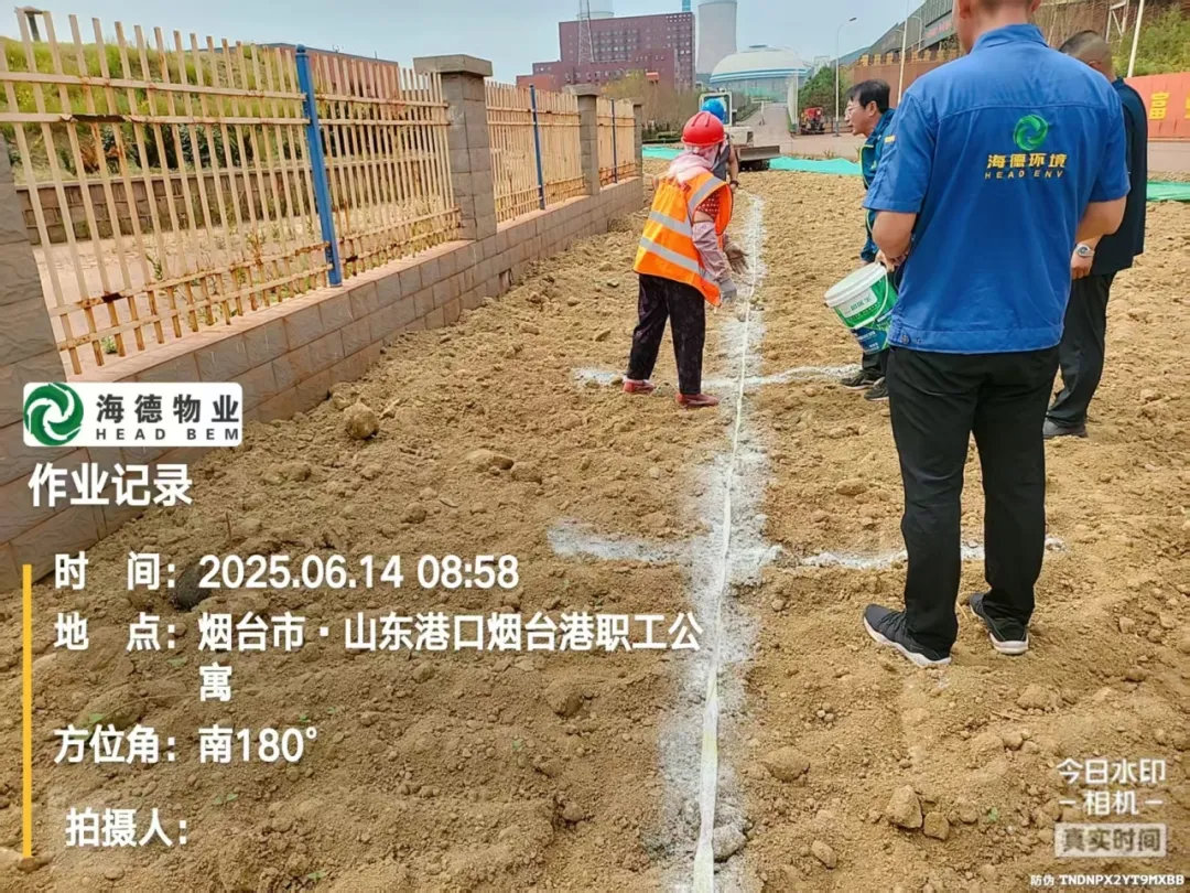 1757575713472531.jpg 9.jpg