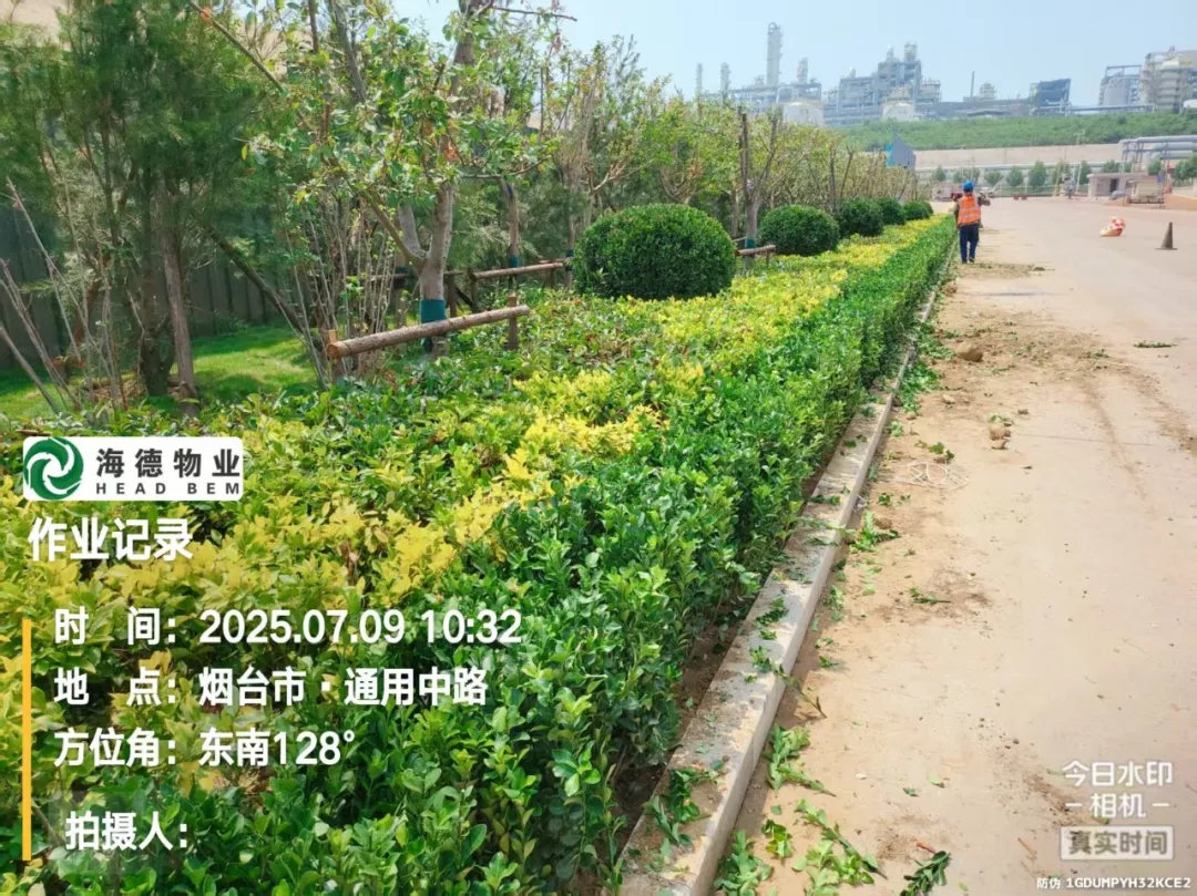 1757575724162851.jpg 10.jpg